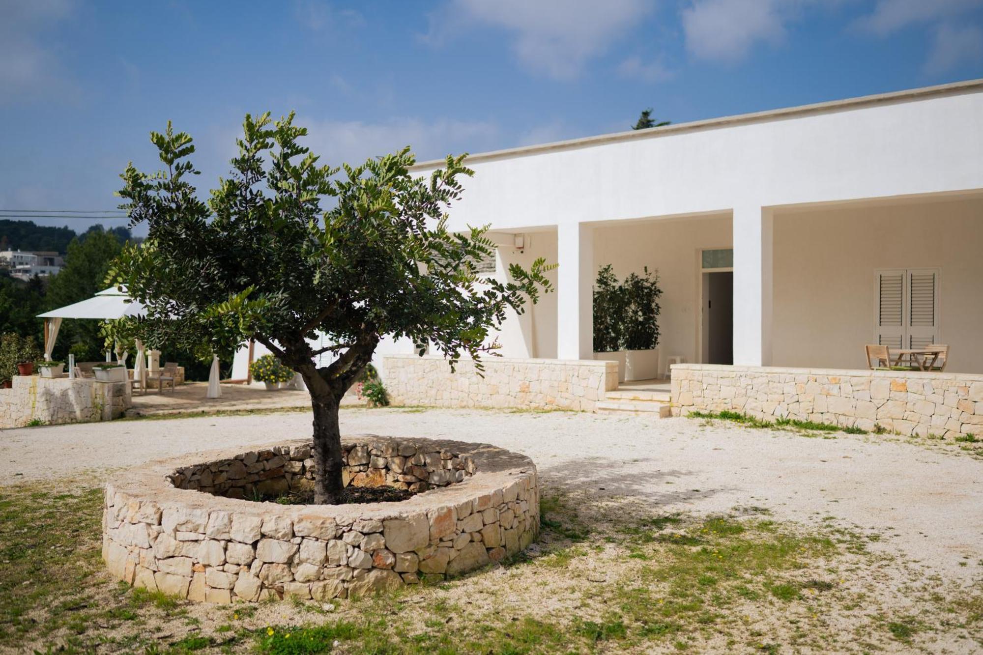 Trulli Magda Villa Martina Franca Exteriör bild