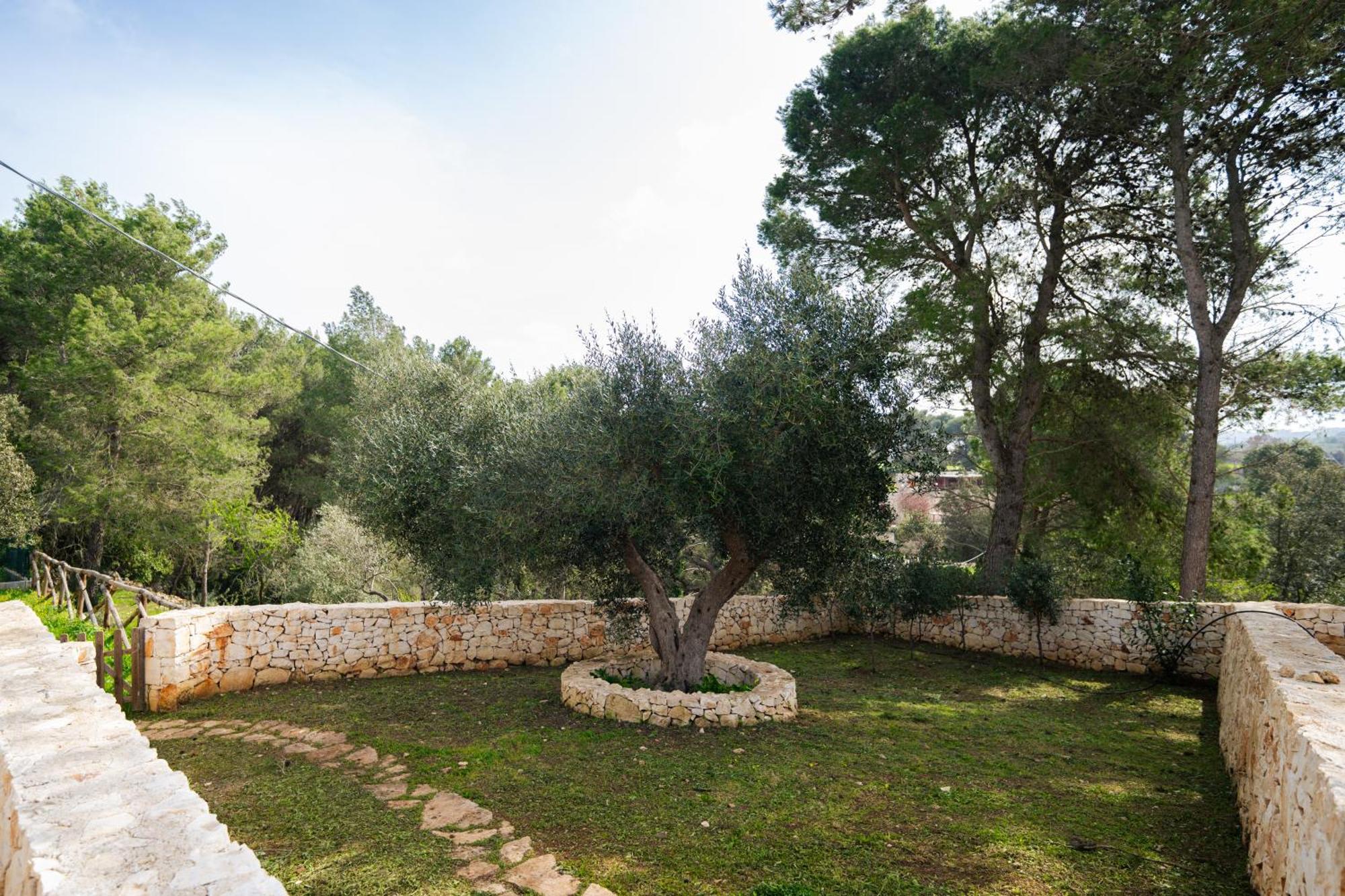 Trulli Magda Villa Martina Franca Exteriör bild